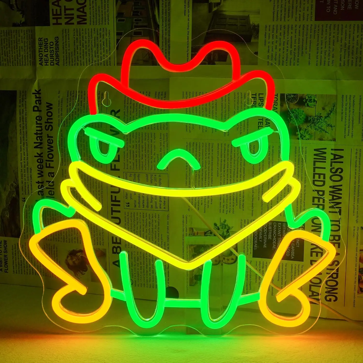 

Cowboy Frog Neon Sign Cool Cowboy Hat for Wall Decor Western Wall Art USB Light Up Sign Cowgirl Man Cave Teen Room Bedroom Gifts