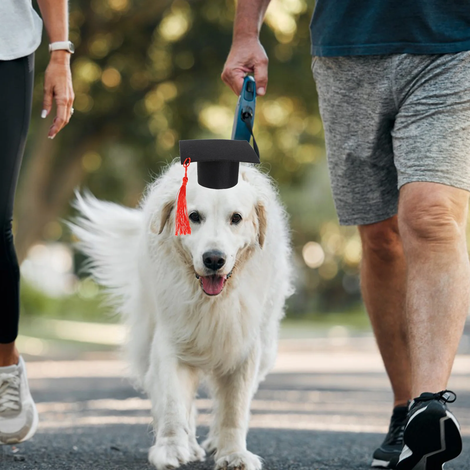 

1pc Mini Graduation Cap for Small Animals Hamster Guinea Pig Decorative Costume Photo Prop Lightweight Washable