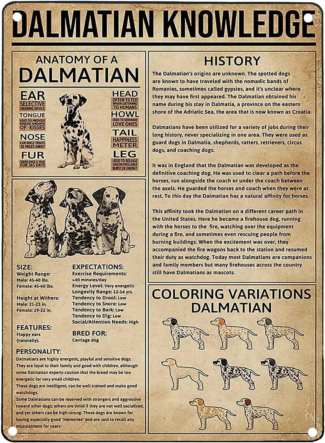 Dalmatian Knowledge Metal Poster Anatomy Of A Dalmatian Metal Tin Sign School Pet Shop Cafe Bedroom Bathroom Kitchen Home A sign