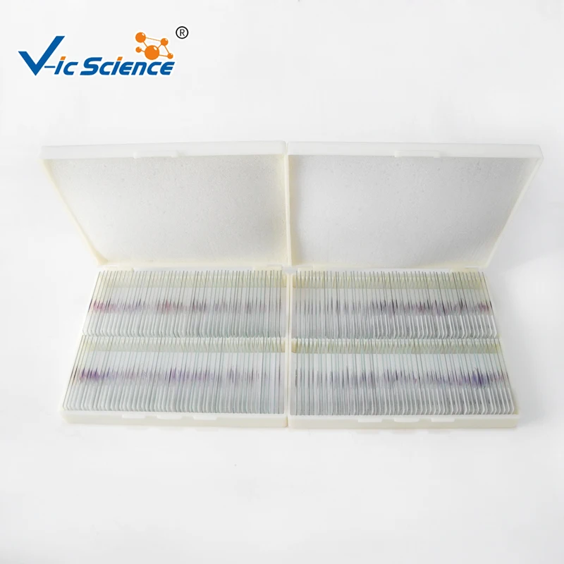 200pcs pathology prepared slides for Teaching experiments