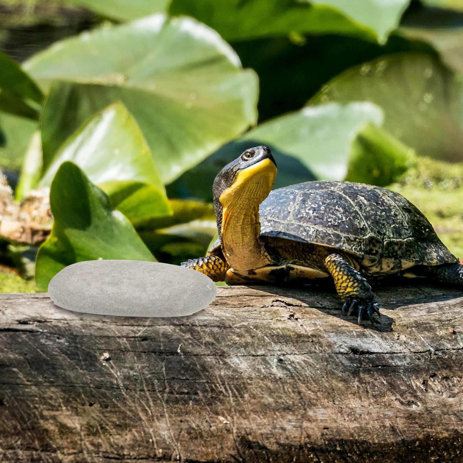 

3Pcs Turtle Basking Platform Stone Turtle Tank Decoration Tortoise Resting Stones Reptile Habitat Aquarium Landscaping Decor