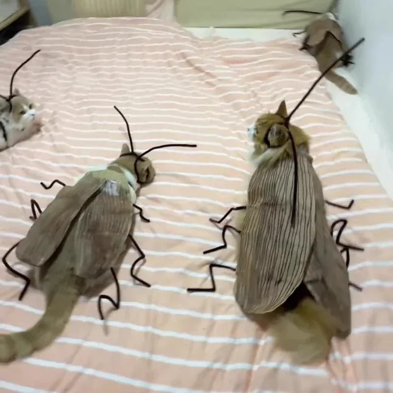 Realistic Cockroach Cat Costume with Detachable Wings Funny Cockroach Clothing for Cat | Cosplay Dress Up DIY Material Pack