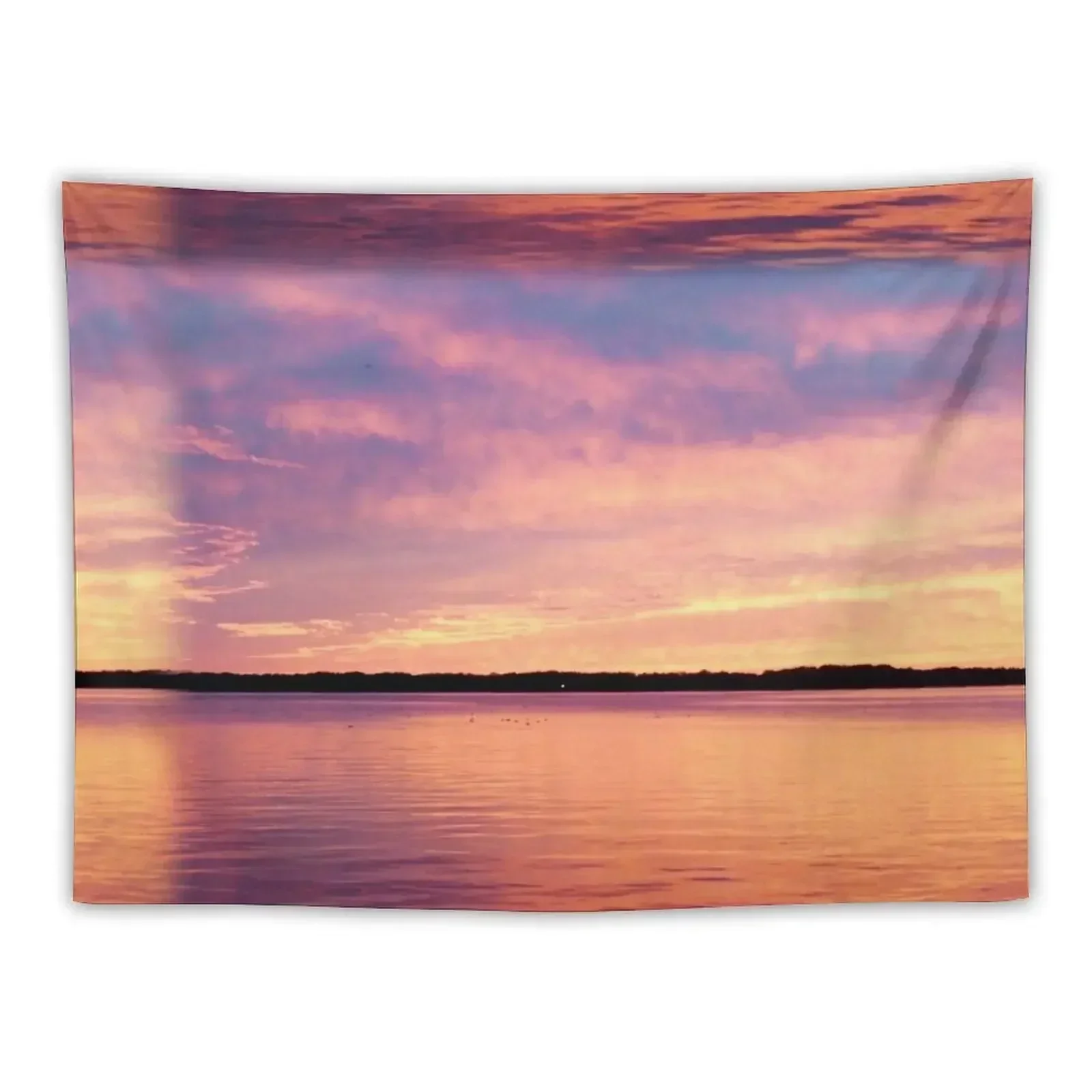 

Golden Pink Lake Erie Sunset Tapestry Bedroom Decor Aesthetic Room Aesthetic Decor Tapestry