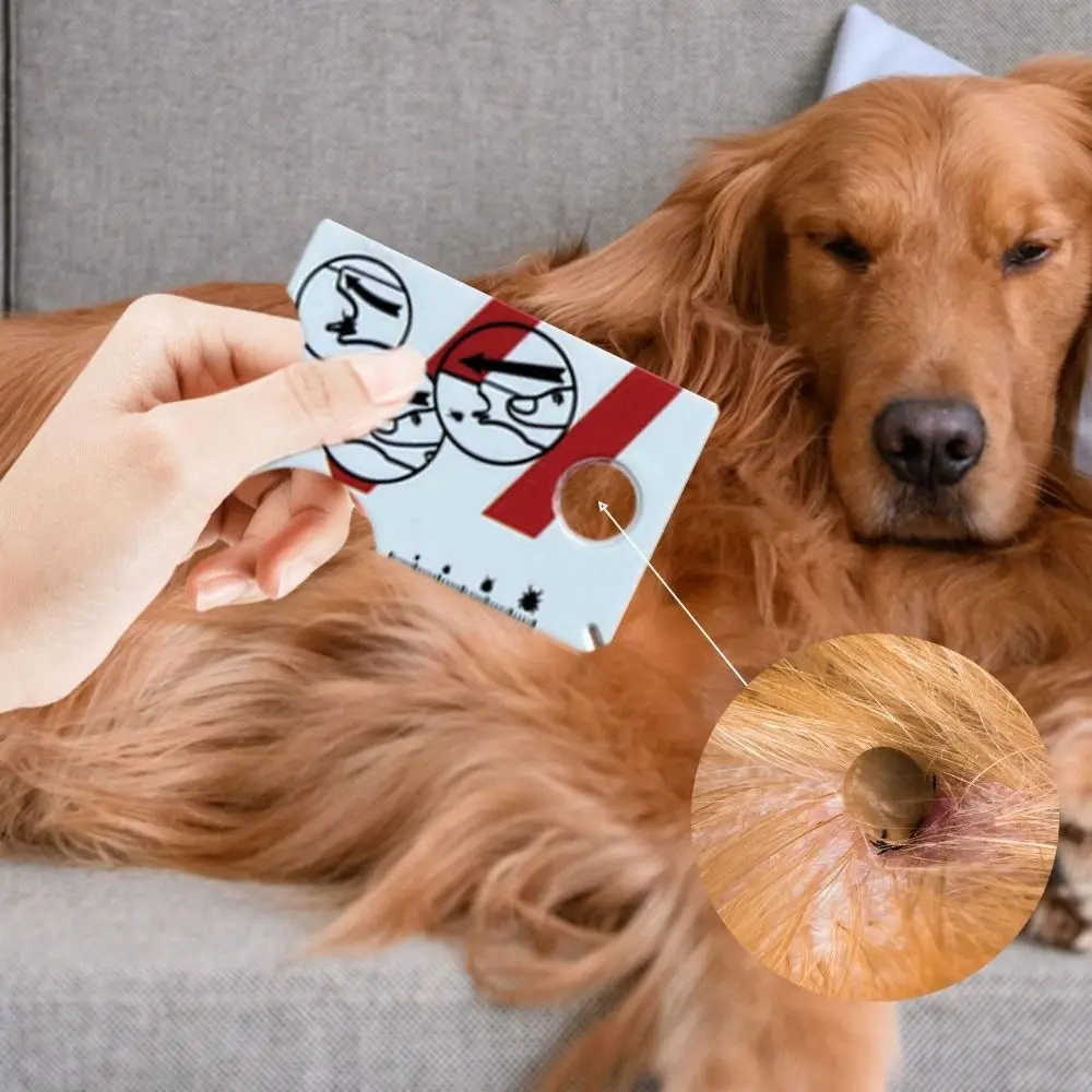 Portable Effective Tick Remover Card Magnifying Glass Pocket Size Lice Catcher Tool Durable Plastic Dog Cat Clean Tool Pets view 3