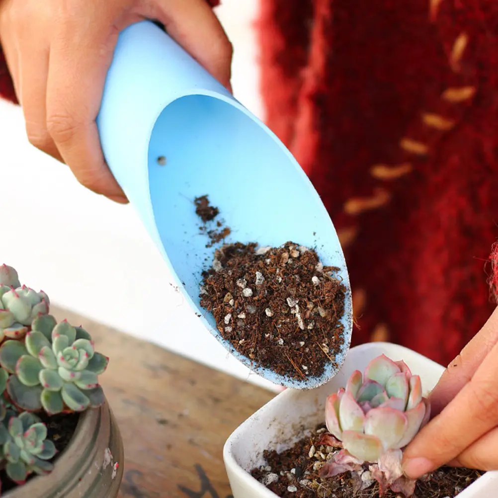 Succulent Plants Kit with Mini Shovel Rake for Bonsai Planting and Garden Transplanting