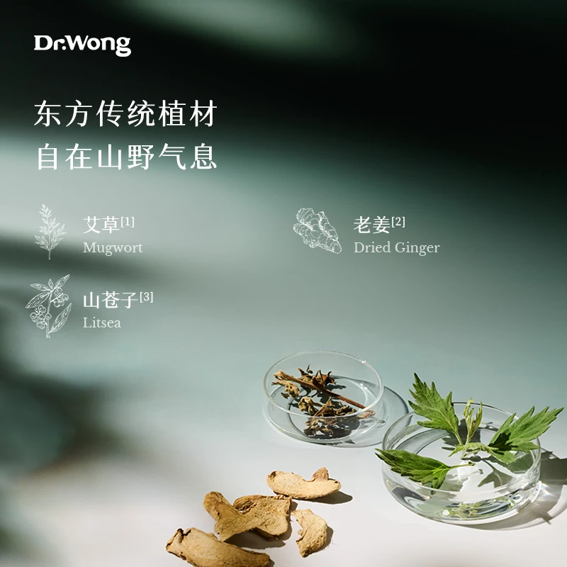 Mugwort & Ginger Plant Massage Oil, Warming Full Body SPA & Relaxation
