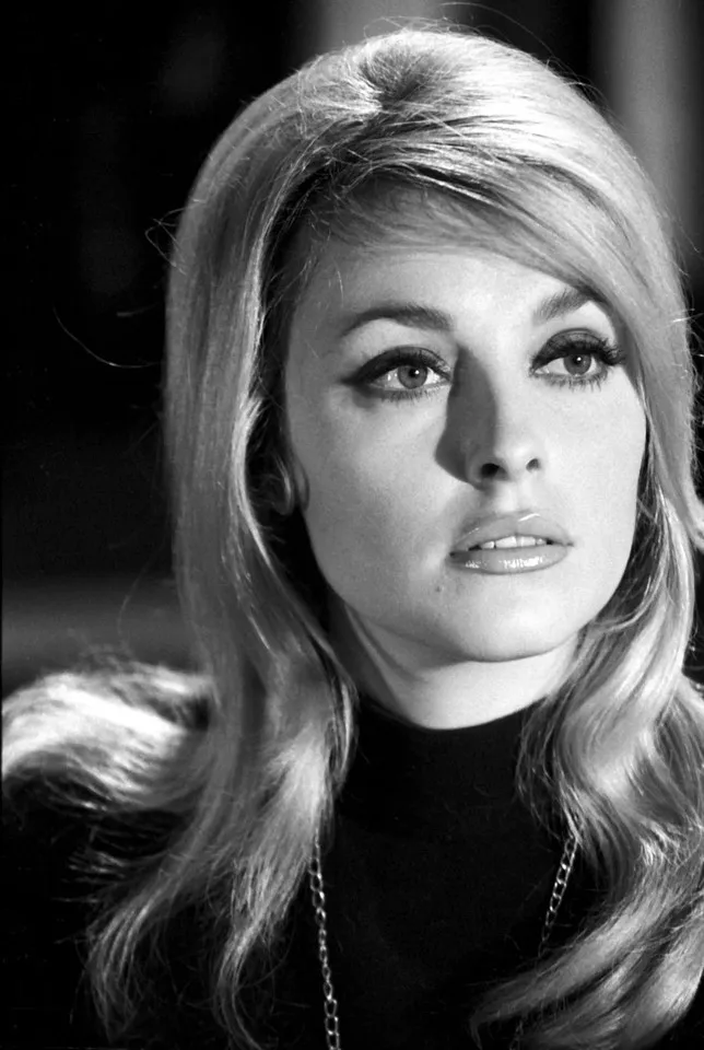 Sharon Tate Posing In Bikini Poster Wall Painting