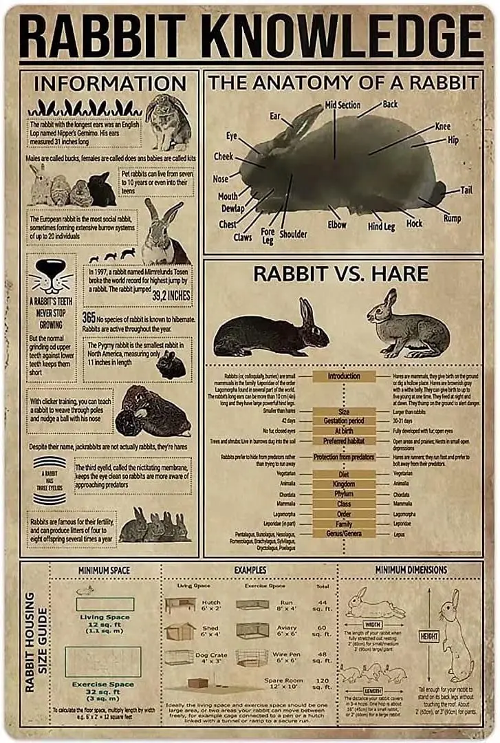 Affiche métallique Rabbit Knowledge : L'anatomie d'un lapin, plaque en étain rétro, décoration murale pour école, ferme, café, chambre, salle de bain, cuisine, maison
