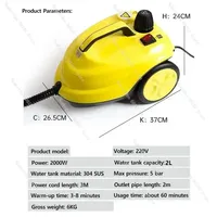 110V 220V 2000W 2L Multi-function Steam Cleaner High Temperature Sterilization Disinfection Car Interior Cleaner Floor Kitchen