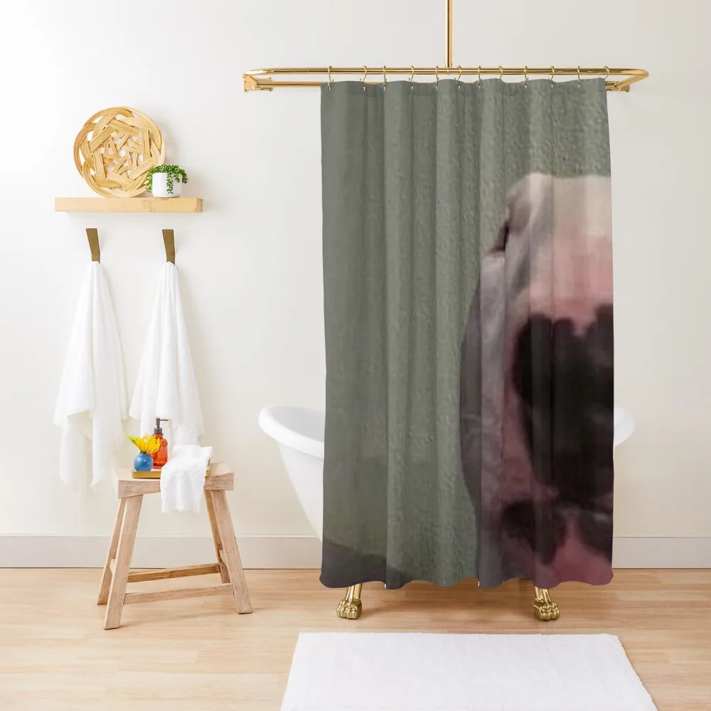 Walter Dog Tee Shower Curtain Transparent Bathroom Shower Bathroom Decor Window For Bathroom Curtain