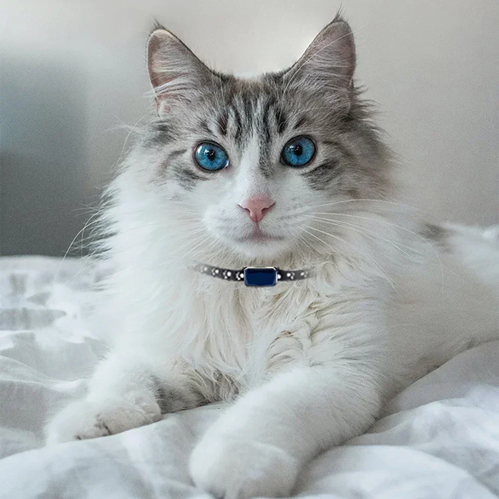 Collar para mascotas Mini rastreador GPS, GSM Wifi LBS rastreador antipérdida Collar de ubicación para mascotas IP67 impermeable para seguimiento de ovejas, perros y gatos