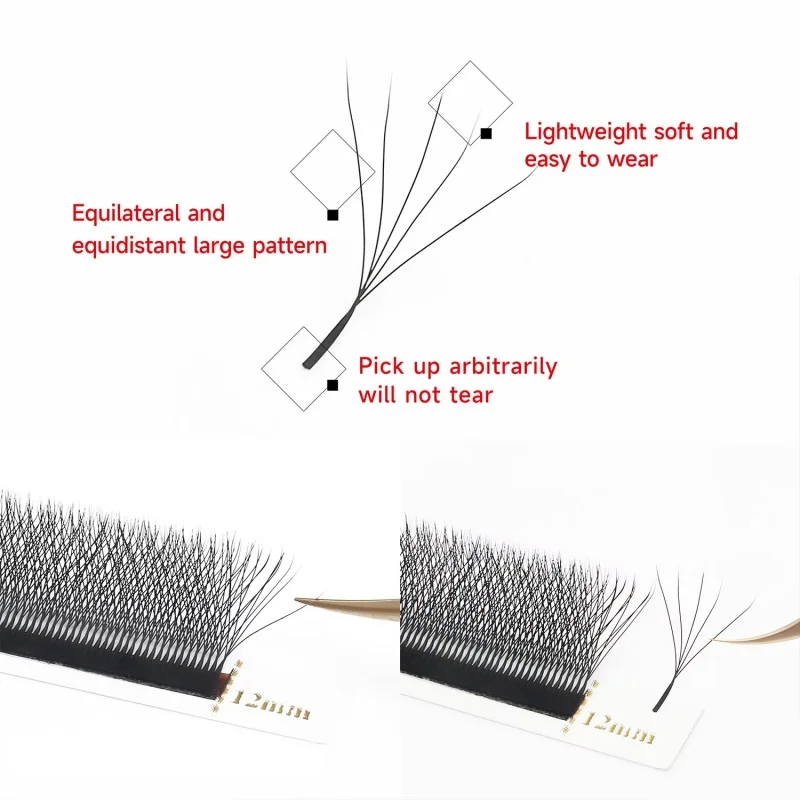 Extension de Cils en Forme de 5D, Grappe de Floraison existent, Cils Individuels Classiques, Préfabriqués, Outils de Maquillage