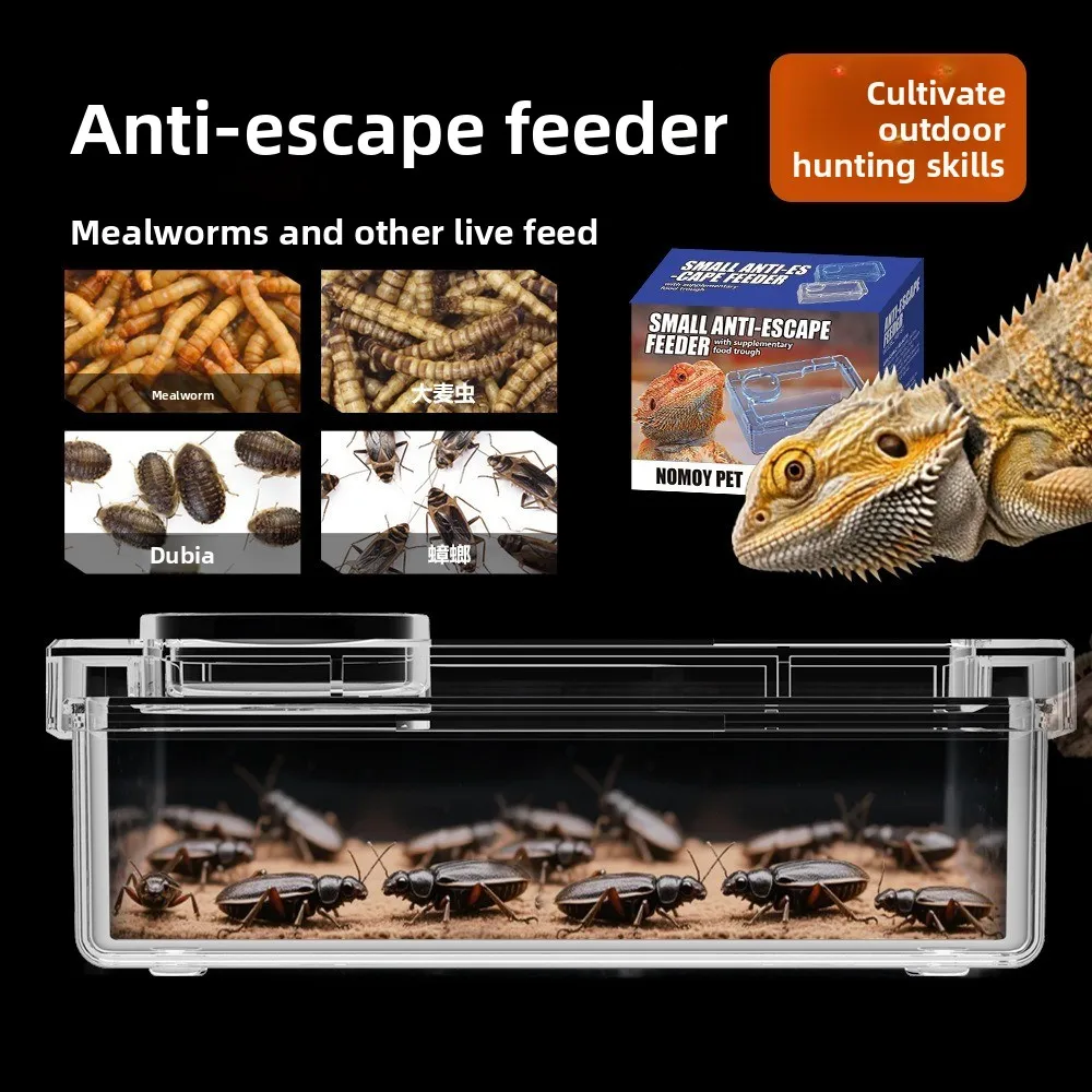 Comederos para Reptiles, Lagartos y Geckos, Antideslizantes, Previenen la Invasión de Tenebrio Molitor y Blaptica Dubia, Recipientes de Agua Antiescape