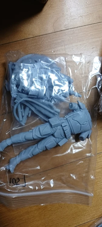Buyer photo of this resin kit