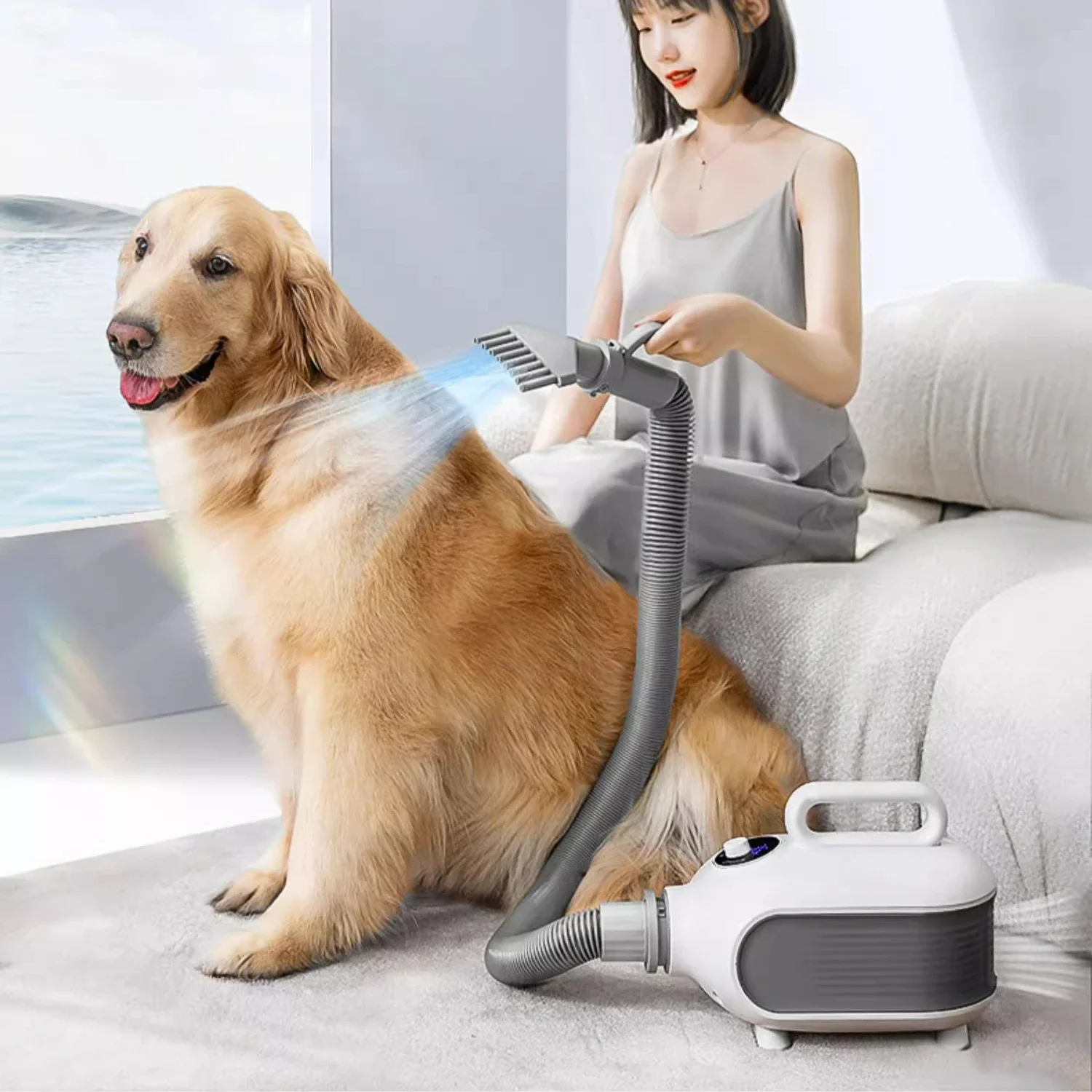 High Performance Motor Pet Blower, Large Dog Small Cat Bath Special Hair Dryer, Household High Power Dog Accessories Blow Dryers