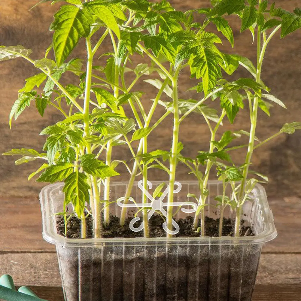

2Pcs Plant Root Stem Support Holder Acrylic Rack Easy Fixation for Monstera Bonsai Indoor Garden Plant Stem Clips