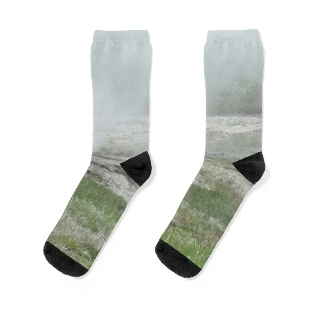 

Flowers In Iceland Socks fashionable floral Thermal man winter Argentina Socks Female Men's