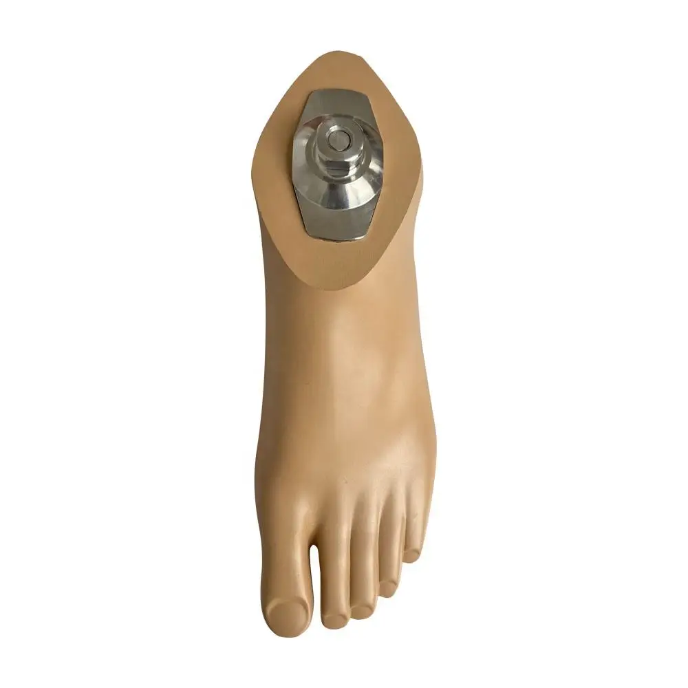 Advanced Carbon Fiber  Storage  Energy Sach Foot Prosthesis Essential Rehabilitation Equipment