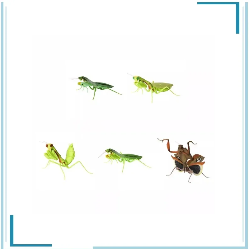 

BANDAI Biology Illustrated Guide Mantodea Deroplatys Desiccata Childhood Memories Pendant Children's Day Gifts Figure Model Toys