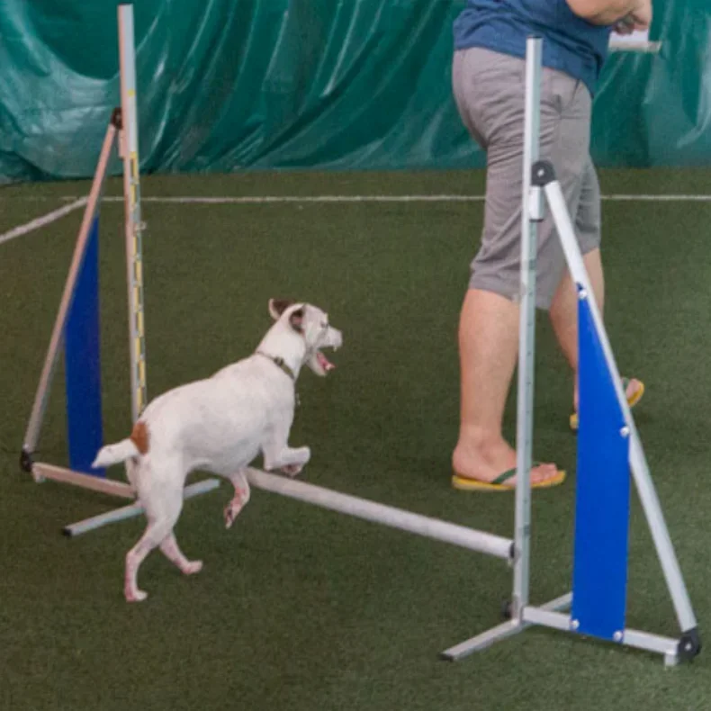Dog Agility Folding Jump Aluminum Hurdle Pet Training Equipment Agility Hurdles For Dogs--There is only one hurdle