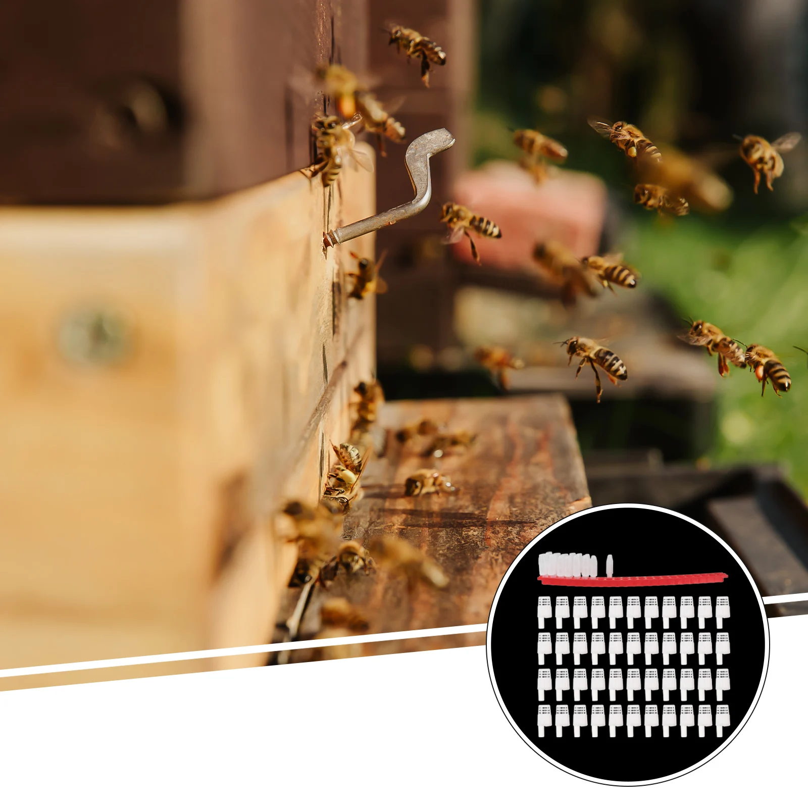 

1Set Professional Cage Durable Safe for Marking Transporting Insulation Beekeeping Supply Cage