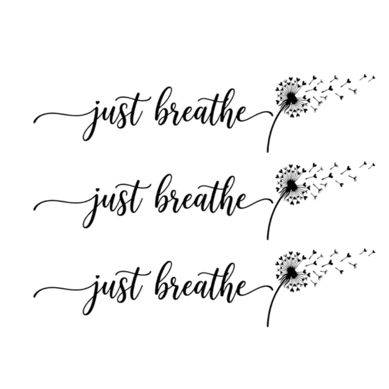 Car Decal Sticker Set for Mirror Glass or Body Panel Use Script Quote Flower Pattern in Black PET 3 Piece 12 x 2 Accent