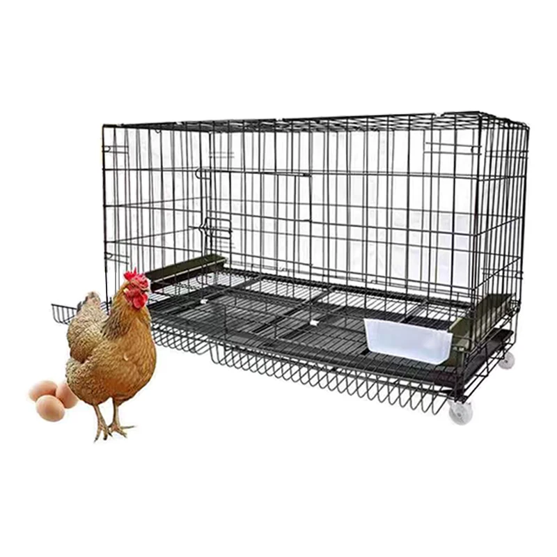 Manufacturer Wholesale Folding Metal Chicken Coop Cage New And Used Condition For Farm Use