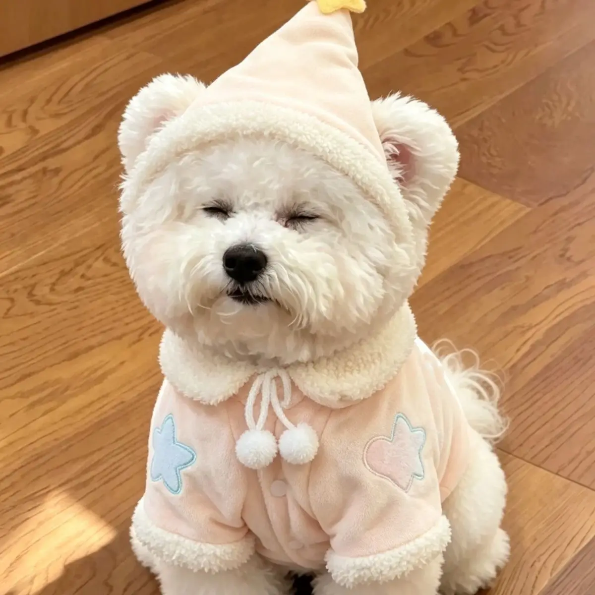 Pet Autumn/Winter Plush Cartoon Pajama Set with Sleep Hat and Plush Cute Embroidered Coat Dog Clothes for Small Dogs