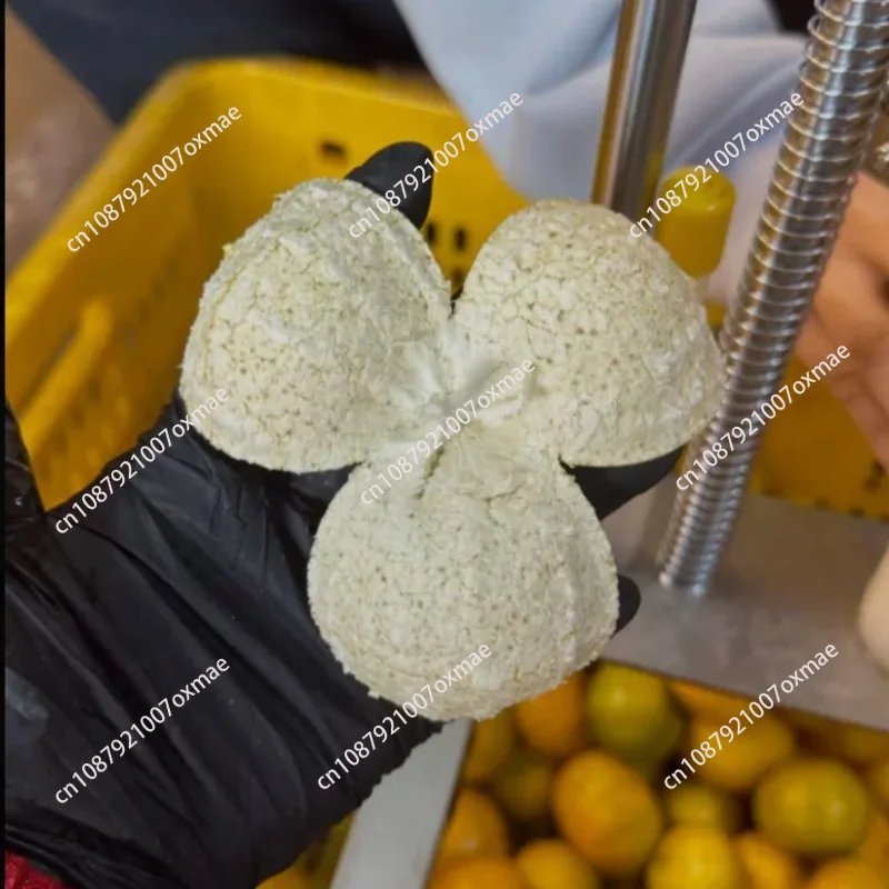 Tangerine Peel Opening Machine Citrus Three-petal Uniform Peeling Stainless Steel Tight Adjustable