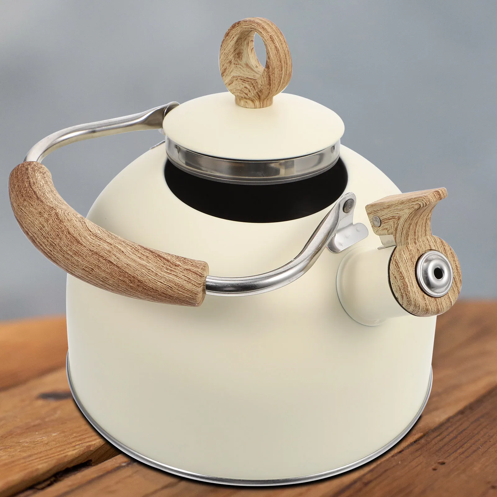 

Stainless Steel Whistling Kettle for Boiling Water Fast Heating Tea Coffee Making Scratch Resistant Comfort Grip Handle Wide