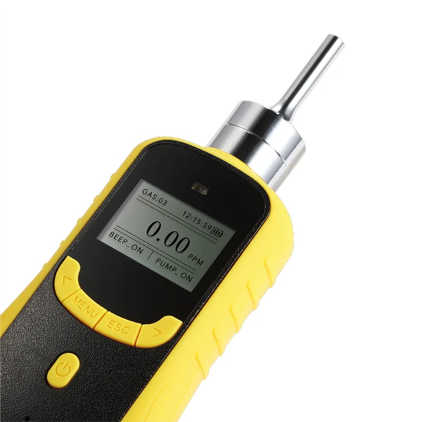 

Portable PH3 CH3Br SO2F2 Gas Detector With Pumping Sampling For Fumigation Monitoring