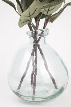 12 best sales זכוכית חממה - №2