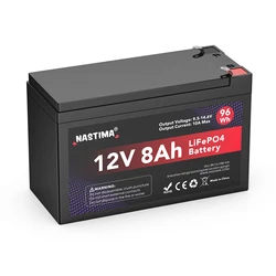 12V 8Ah LiFePO4 Lithium Iron Phosphate Rechargeable Battery With 10A BMS for Fish Finder, Scooter, Light, Kids Car, with Charger