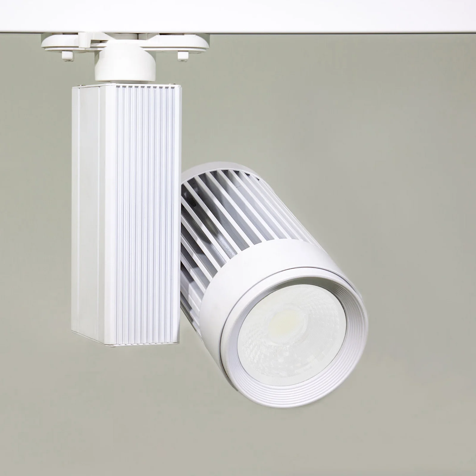 

10Pcs Long-Lasting Plastic Diffuser Lampshade Chandelier Downlight Shade Dazzling Proof Accessories Diffuser Lamp Shade