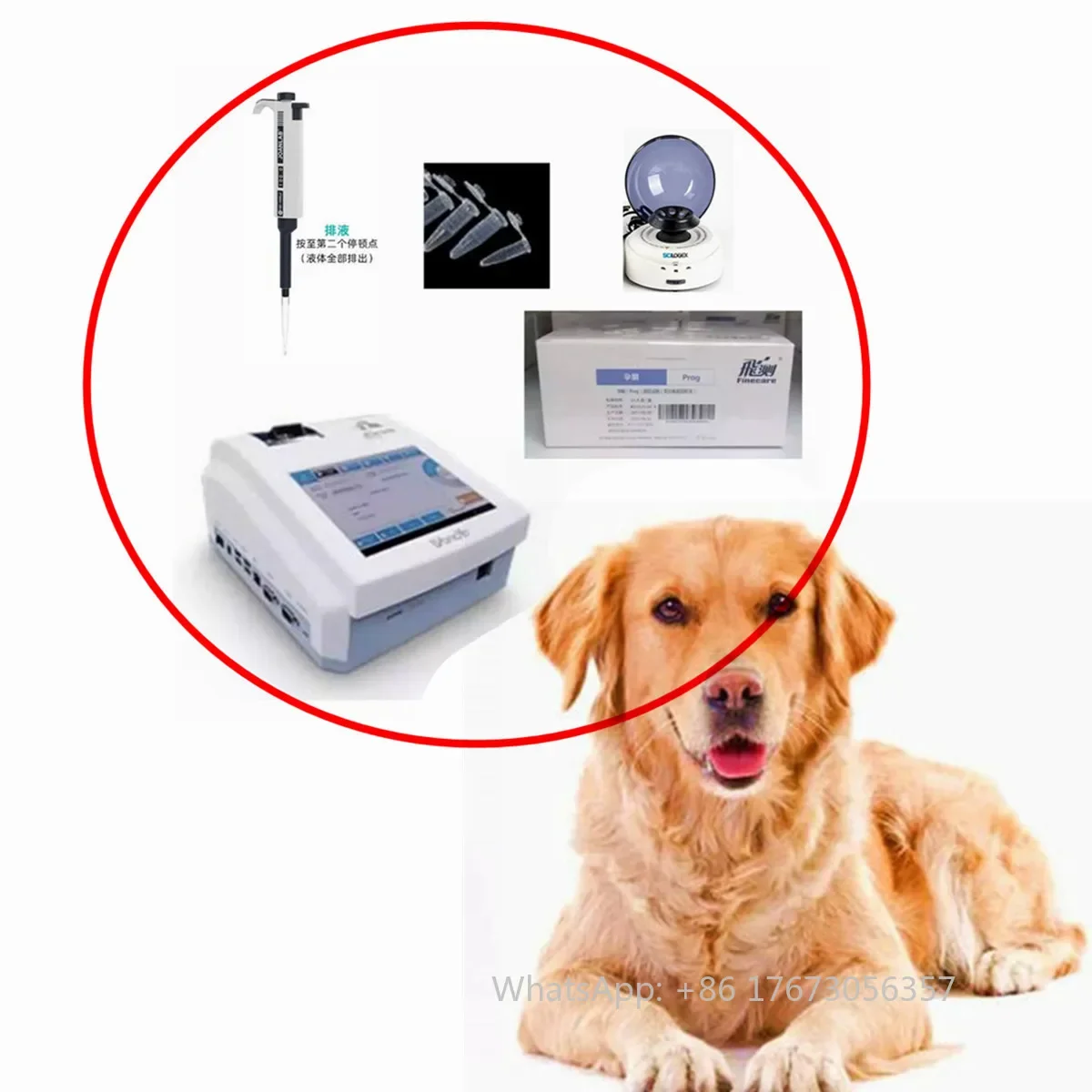 Animal Dog Finecare 2 Plus Portable Chemistry Analyzer + Centrifuge + Pipette +  Progesterone Tests Testing Kit