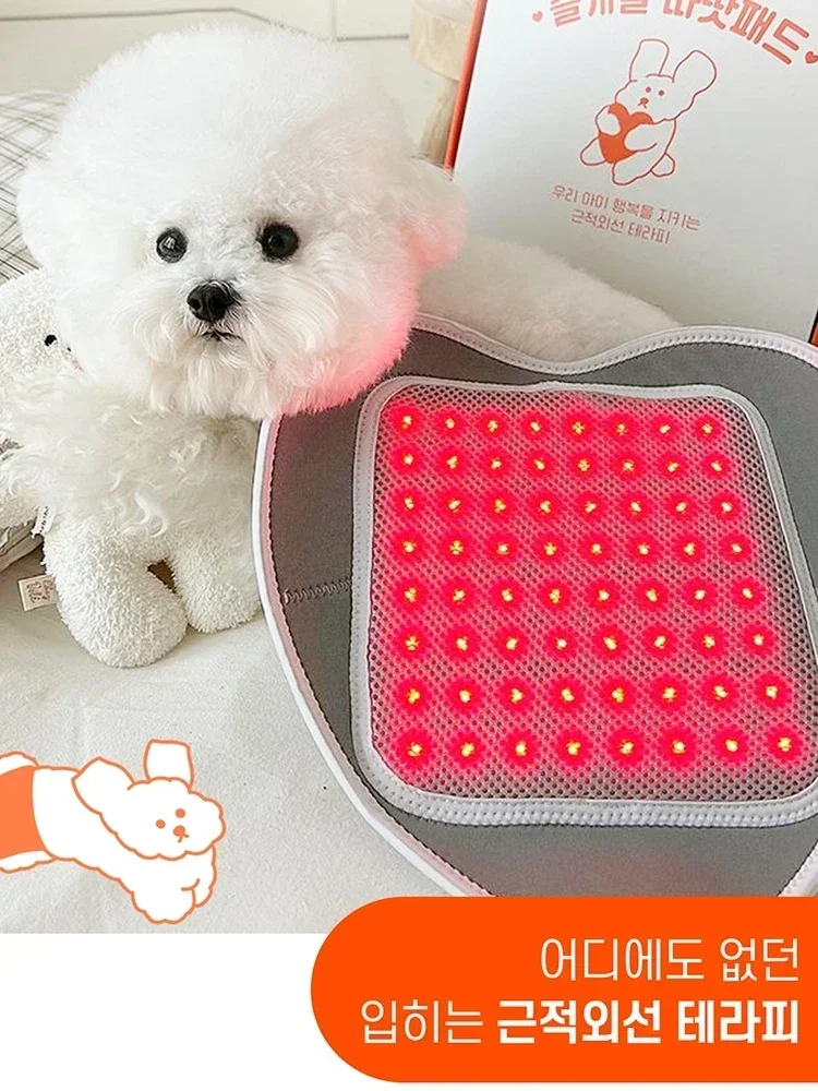 Pet physiotherapy device, joint and patellar health care, phototherapy pad Hot sales