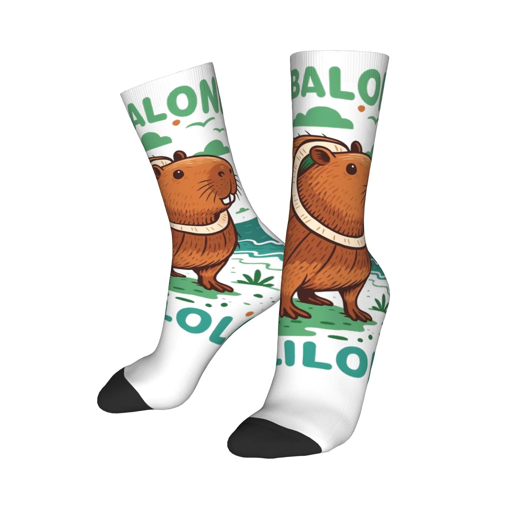 Burbaloni Luliloli Capybara 이탈리아 Brainrot 양말 남성용 재미있는 해피 양말 하라주쿠 가을 겨울 중간 튜브 스타킹 선물