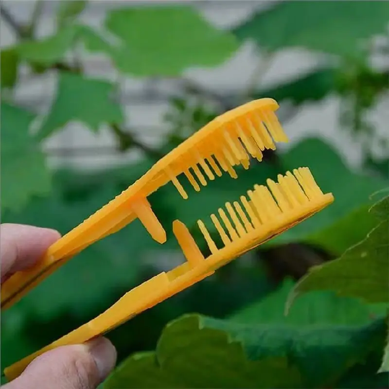 FYBL-5PCS Grape Pruning Tool, Fruit Thinning Comb, Handheld Grape Cluster Trimmer, Fruit Picker Gardening Accessories