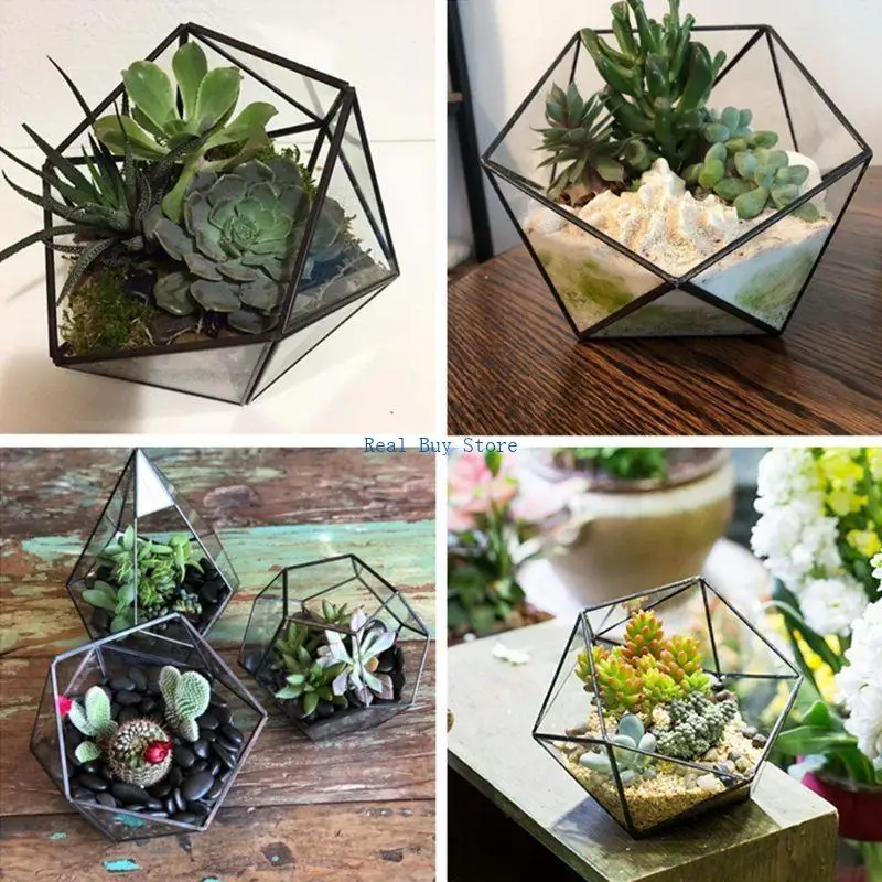 

U13D Modern Planter Geometric Container Glass Planter Windowsill Decor DIY Display