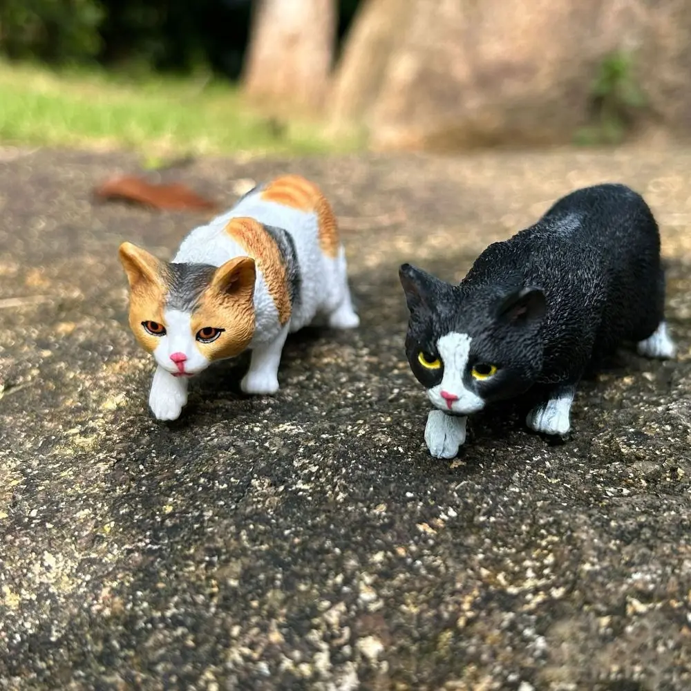 Exquisite PVC Simulation Cat Model Siamese Ragdoll Persian Cat Lifelike Realistic Pet Figurines Cat Action Figures