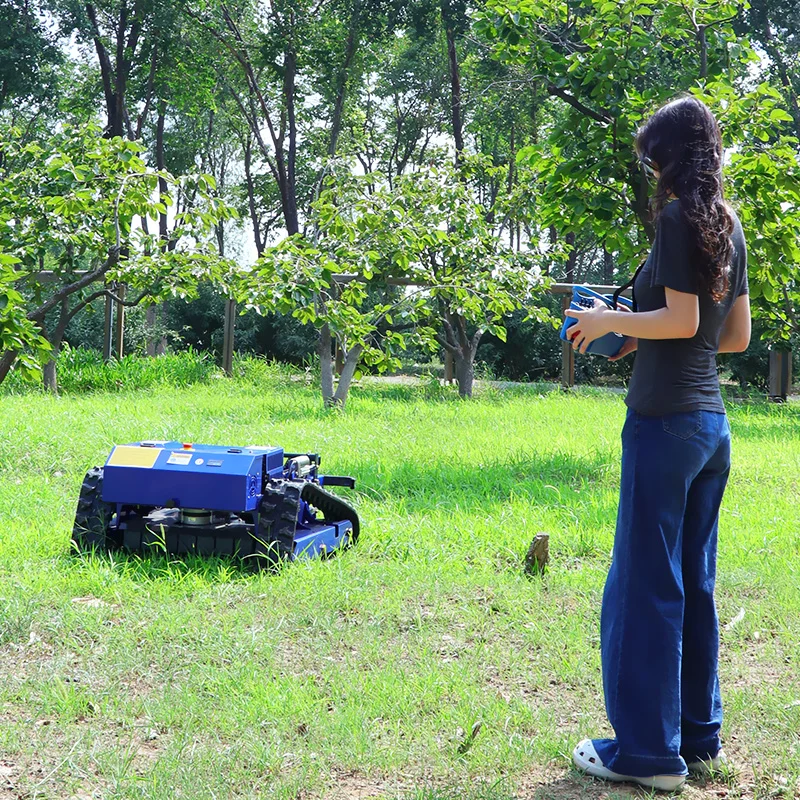 Personalización CE EPA aprobado todo terreno RC cortador de césped jardín oruga Control remoto Robot cortacésped con hoja de nieve