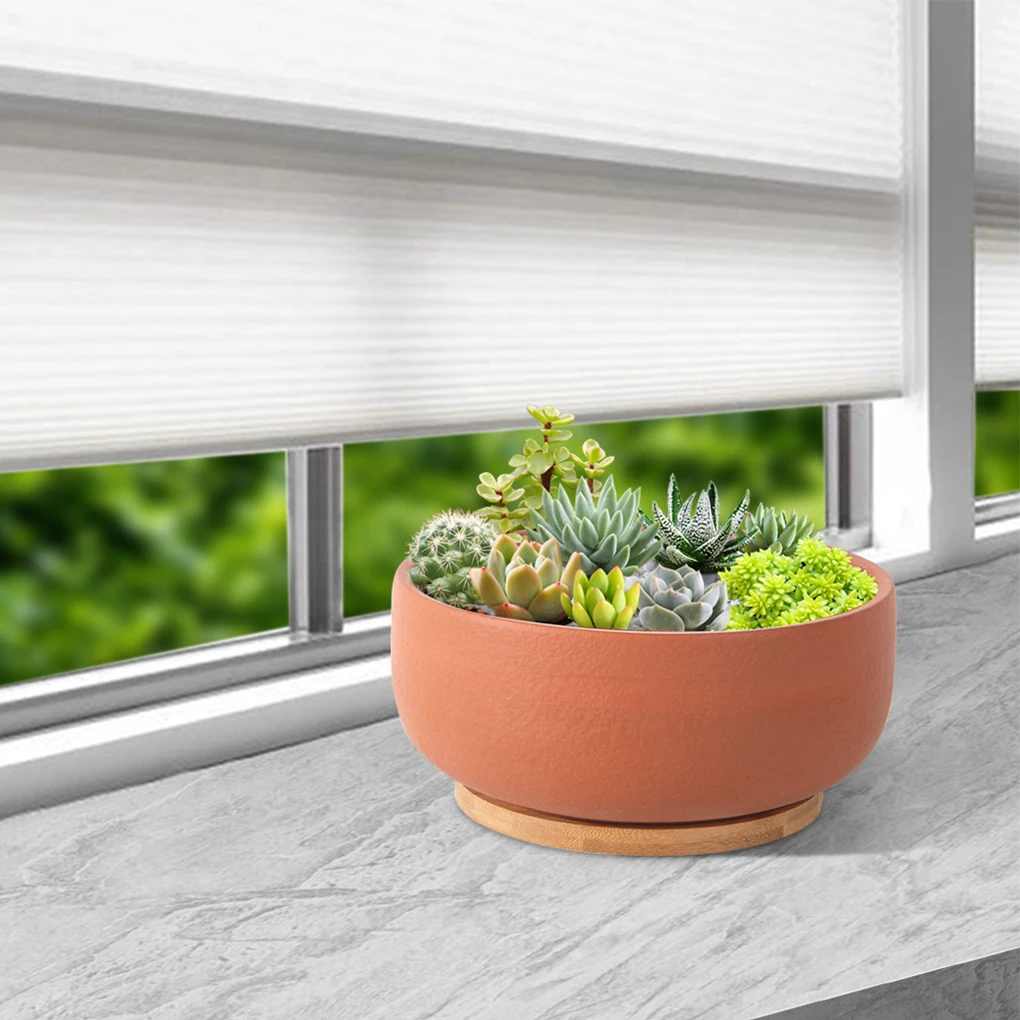 

Terracotta Succulent Planter - Wide Application And Smooth Surface Home Or Office Fluent Line