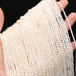 2-2.5mm White Rice Pearls Natural Freshwater Pearls Spacer Beads for Jewelry Making Supplies DIY Necklace Bracelet Accessories