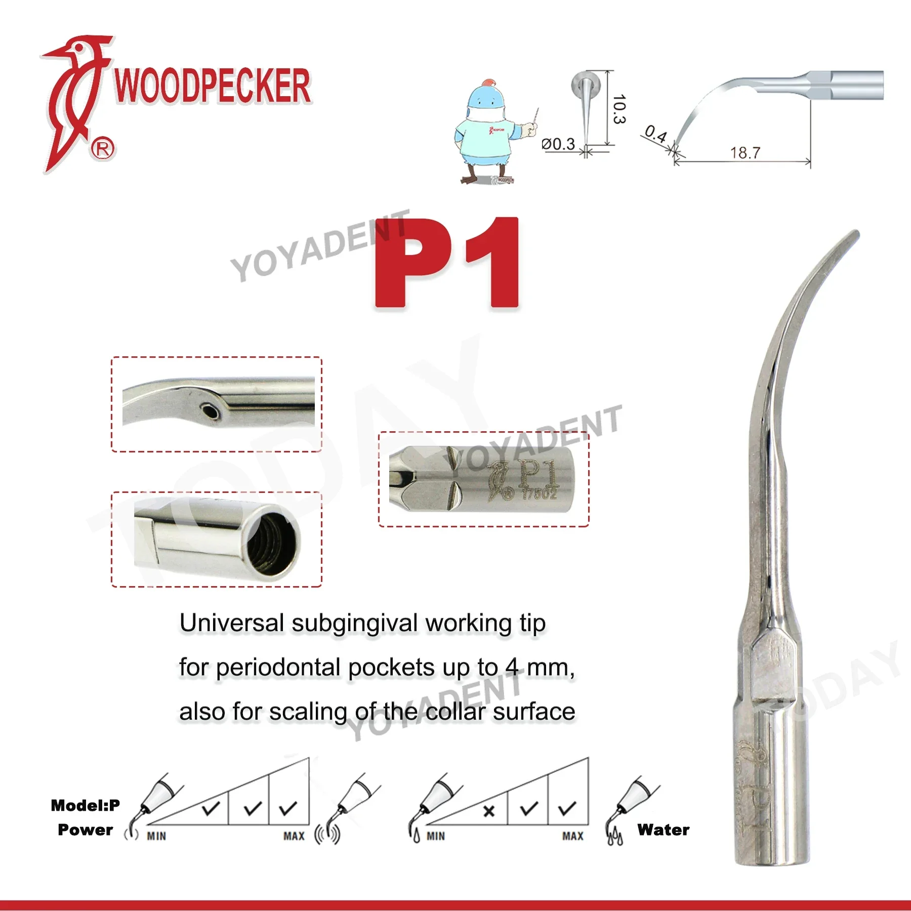 Specht Tandheelkundige Ultrasone Piezo Scaler Handstuk LED HW-5L Scaling Tips Fit UDS EMS Ultrasone Scaler Tandheelkundige Gereedschappen
