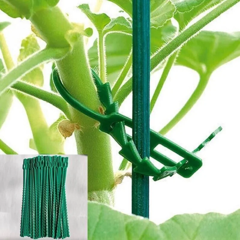 Abraçadeiras para plantas, travamento automático, plástico reutilizável, gravata fixa de planta, zip loop, acessórios de jardinagem, qualidade, 50pcs