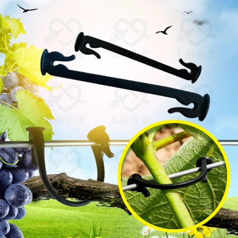 

200g/Roll Vine Tying Clips, Reusable Plastic Branch Fasteners, Agricultural Garden Trellis Support Clips for Fruit Trees