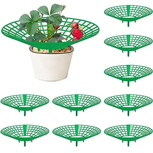 

10Pcs Strawberry Supports - Strawberry Plant Support Stand Racks Protector Frame Holder Cage,Vegetable Growing Rack Garden Tools