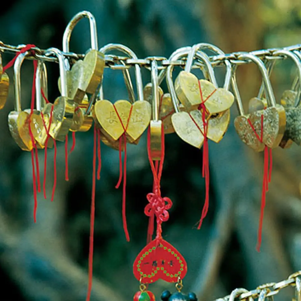 قفل صغير متحدة المركز 40 مم على شكل قلب قفل مزدوج على شكل قلب قفل حب قفل محفور لعيد الحب #5