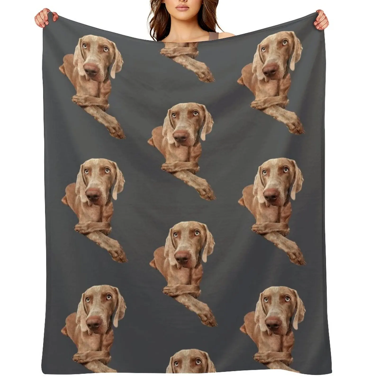 

Weimaraner Throw Blanket Large Heavy Decorative Sofas Bed Fashionable Blankets