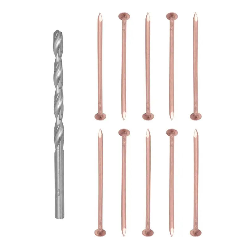 10Pcs Copper Nails For Killing Trees Copper Nail For Stump Out Tree Stump Killer With 1 Drill Nail